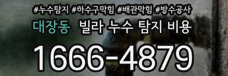 대장동 빌라 누수 탐지 비용