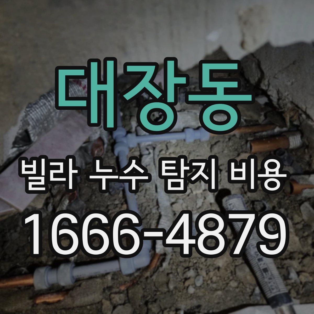 대장동 빌라 누수 탐지 비용