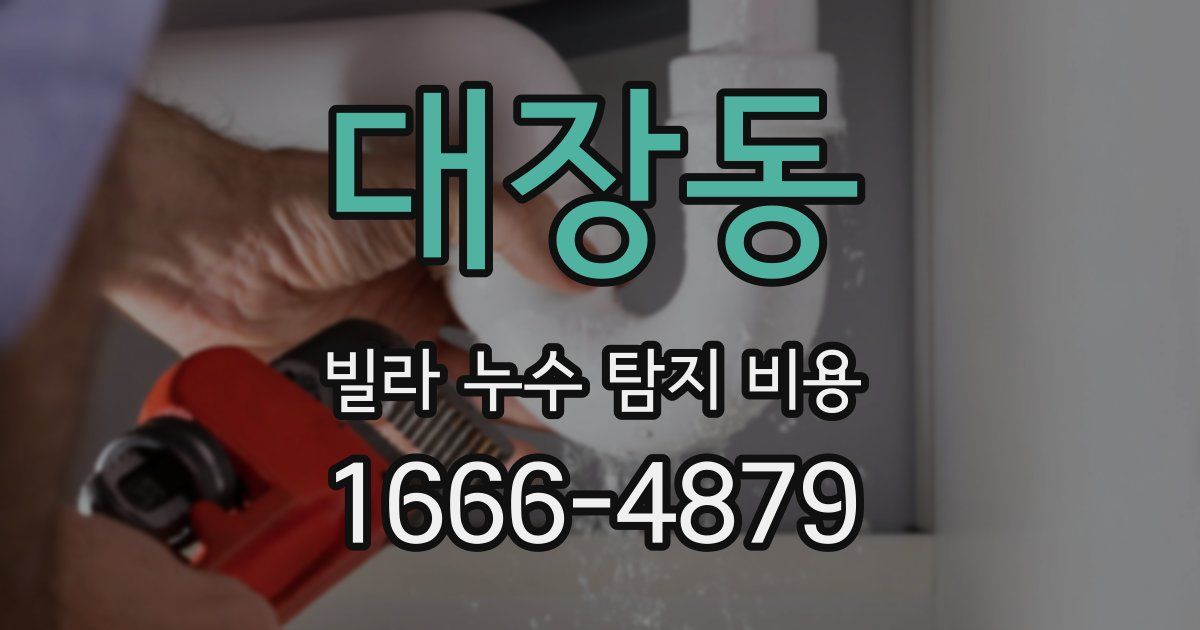 대장동 빌라 누수 탐지 비용