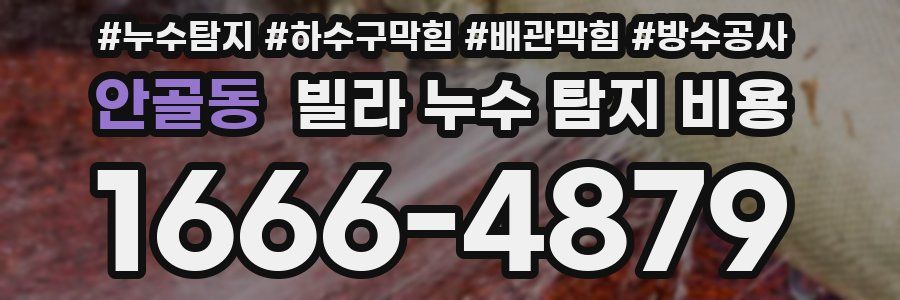 안골동 빌라 누수 탐지 비용