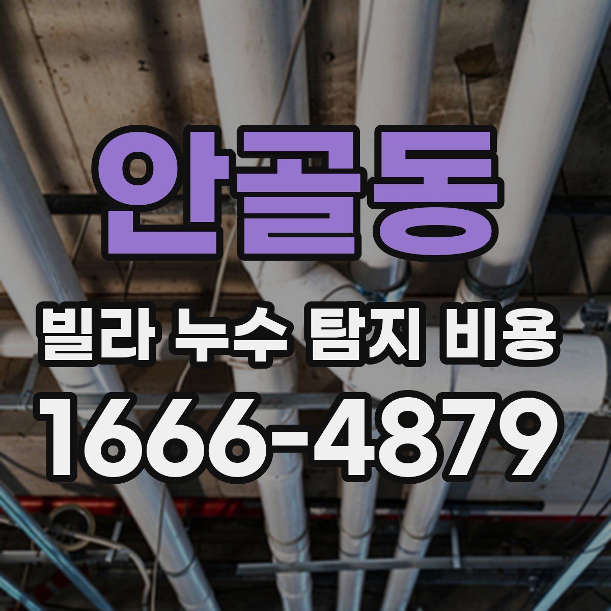 안골동 빌라 누수 탐지 비용