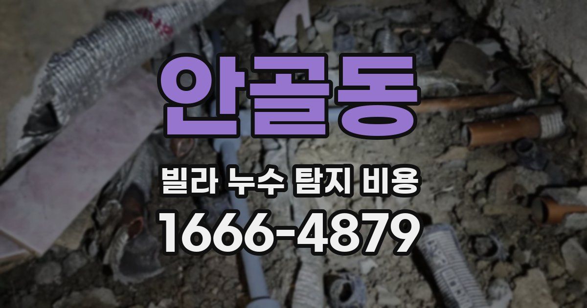 안골동 빌라 누수 탐지 비용