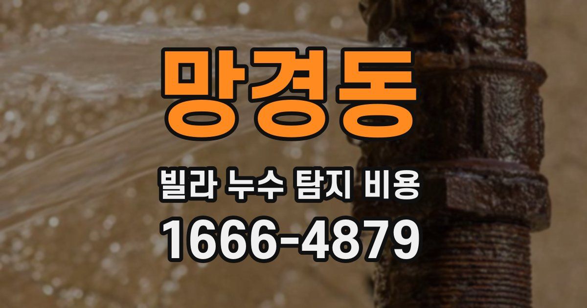망경동 빌라 누수 탐지 비용