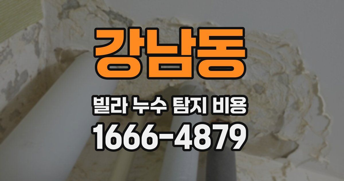 강남동 빌라 누수 탐지 비용