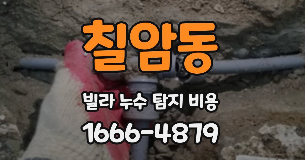 칠암동 빌라 누수 탐지 비용