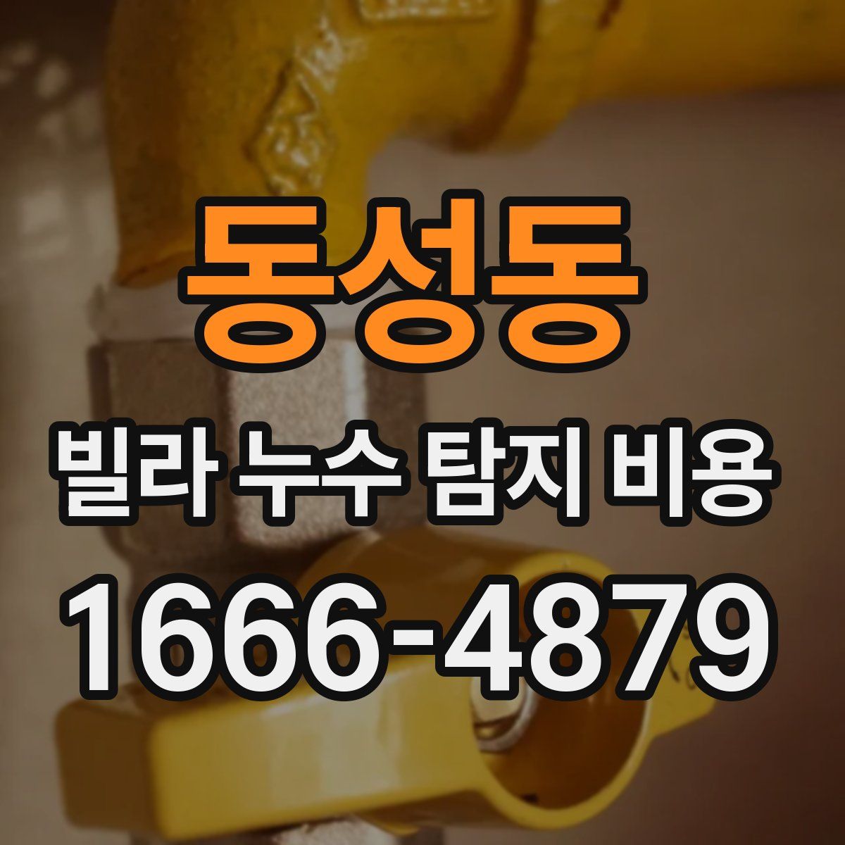 동성동 빌라 누수 탐지 비용