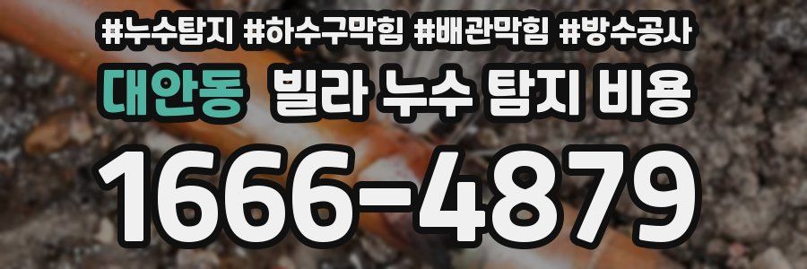 대안동 빌라 누수 탐지 비용