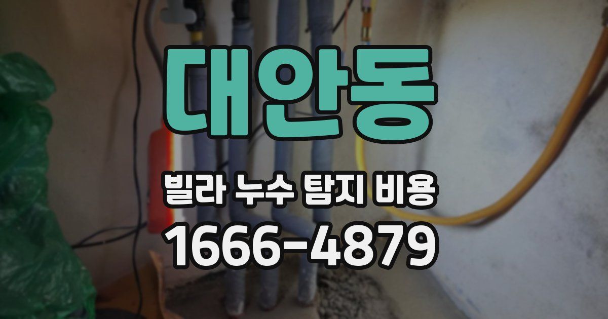 대안동 빌라 누수 탐지 비용
