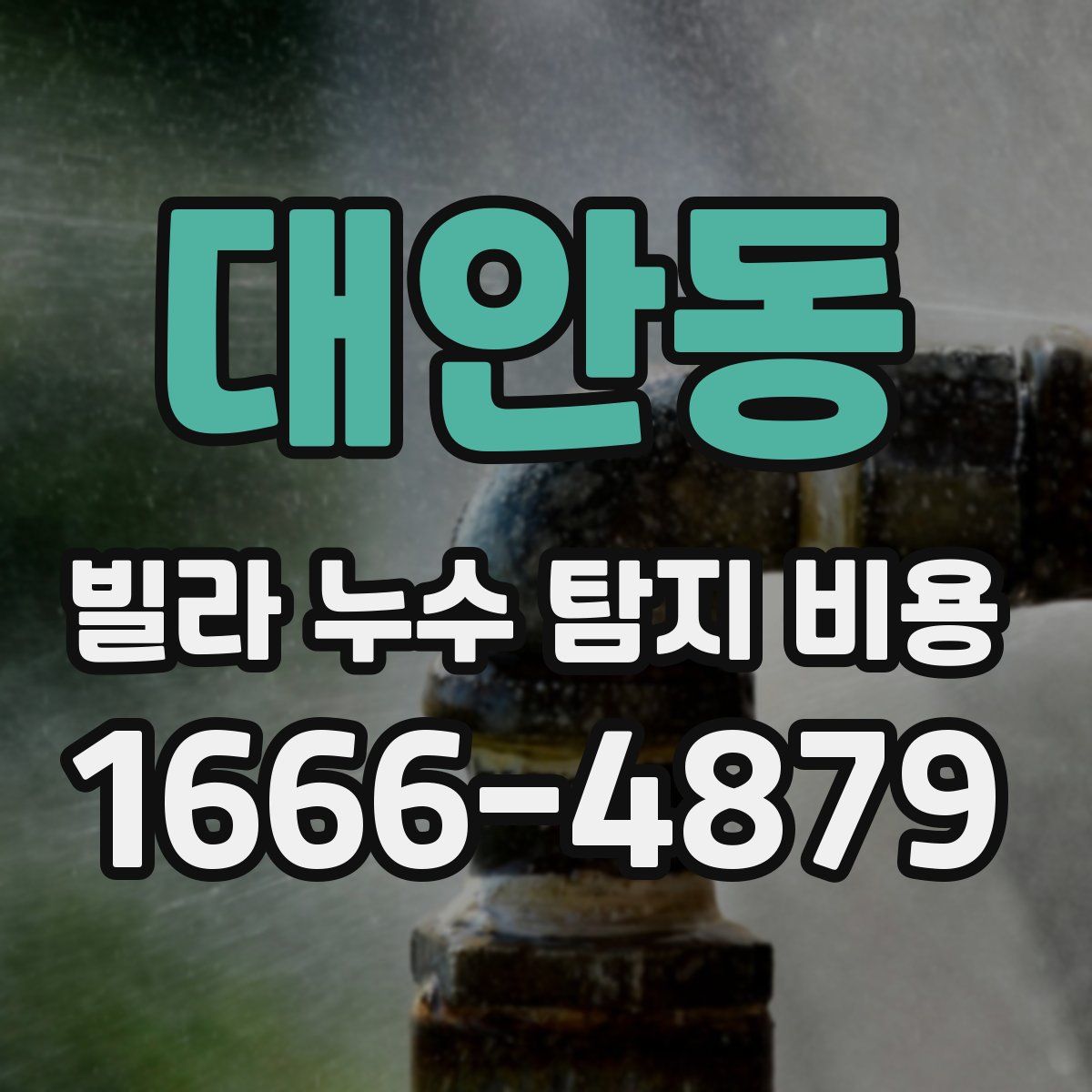 대안동 빌라 누수 탐지 비용