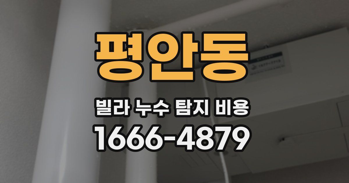 평안동 빌라 누수 탐지 비용