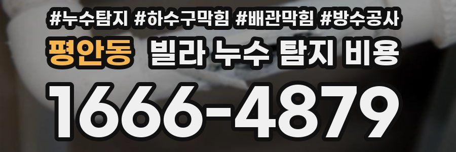 평안동 빌라 누수 탐지 비용