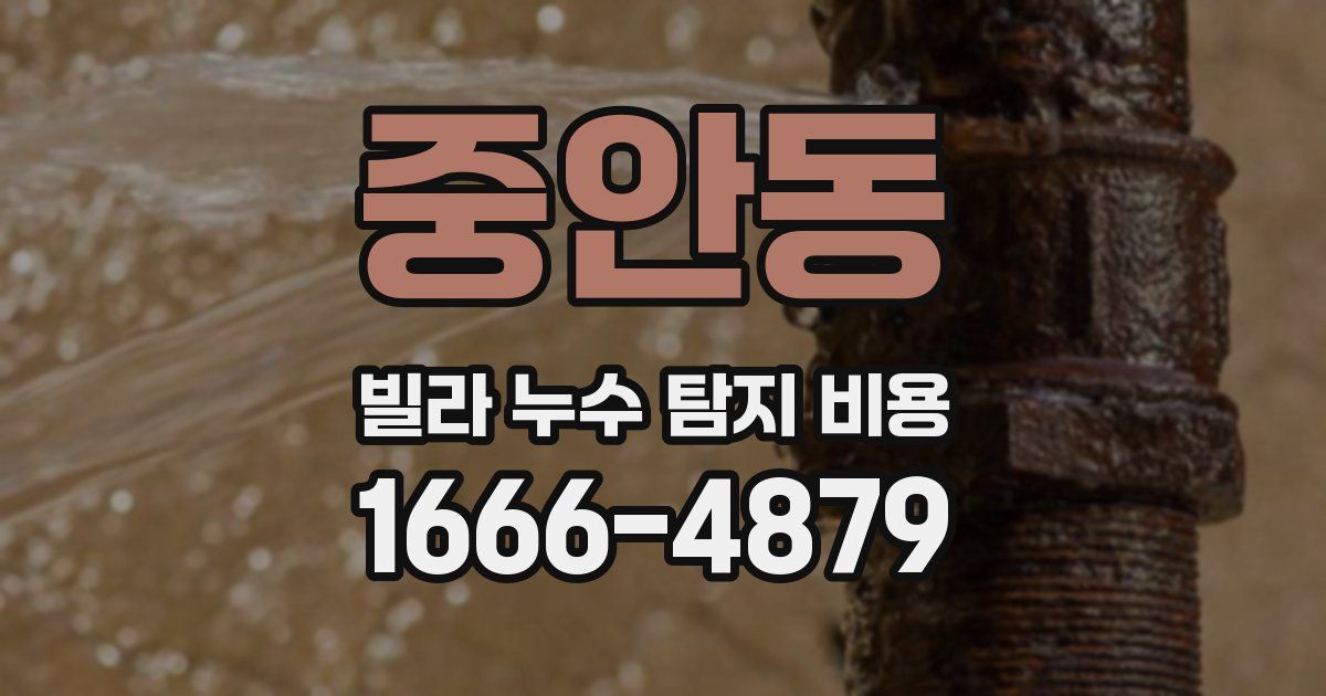 중안동 빌라 누수 탐지 비용