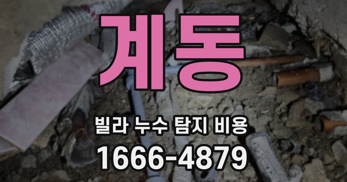 계동 빌라 누수 탐지 비용