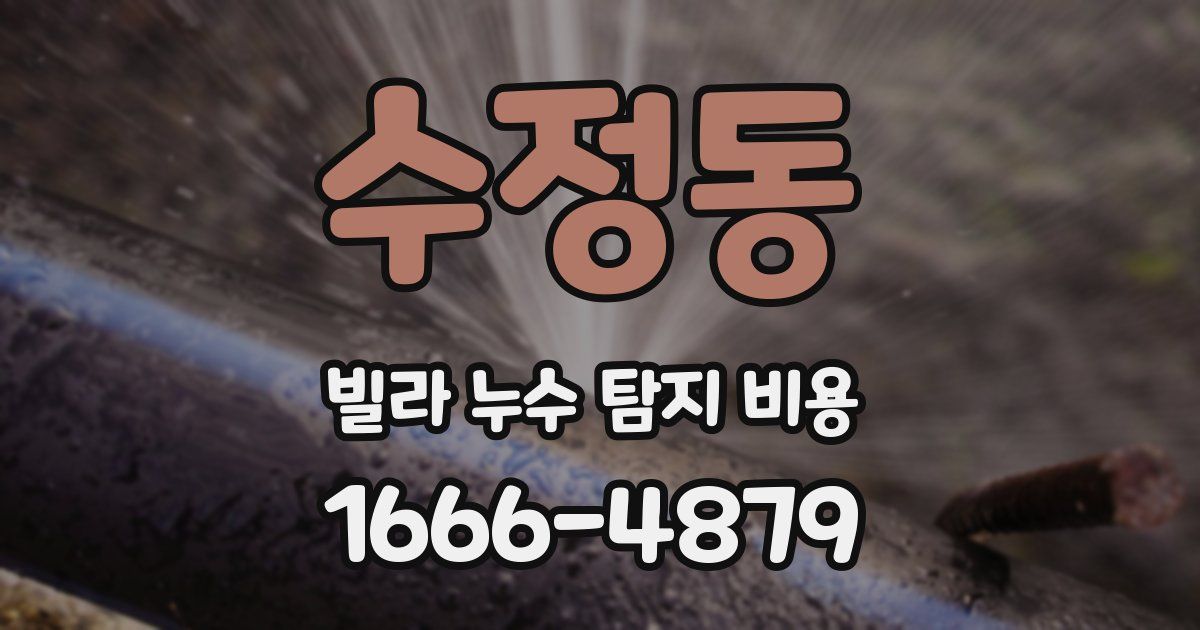 수정동 빌라 누수 탐지 비용