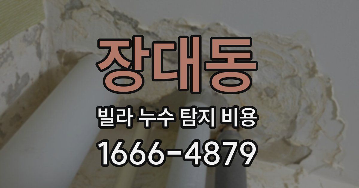 장대동 빌라 누수 탐지 비용