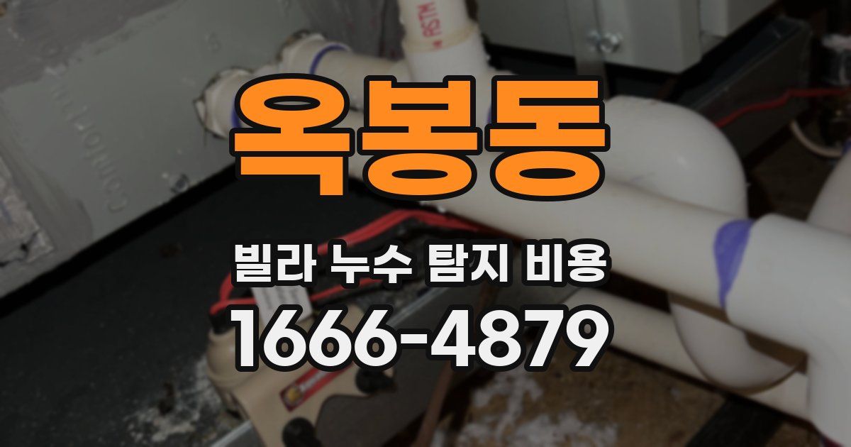 옥봉동 빌라 누수 탐지 비용