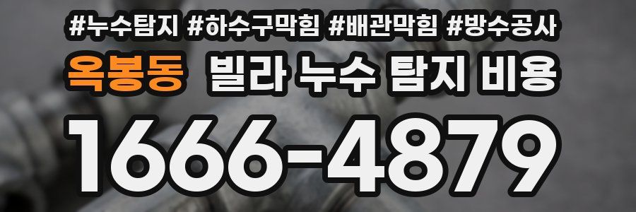 옥봉동 빌라 누수 탐지 비용