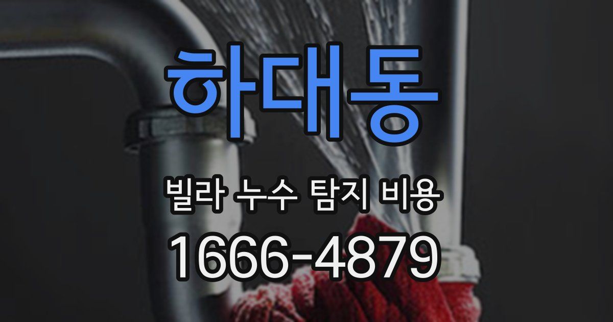 하대동 빌라 누수 탐지 비용