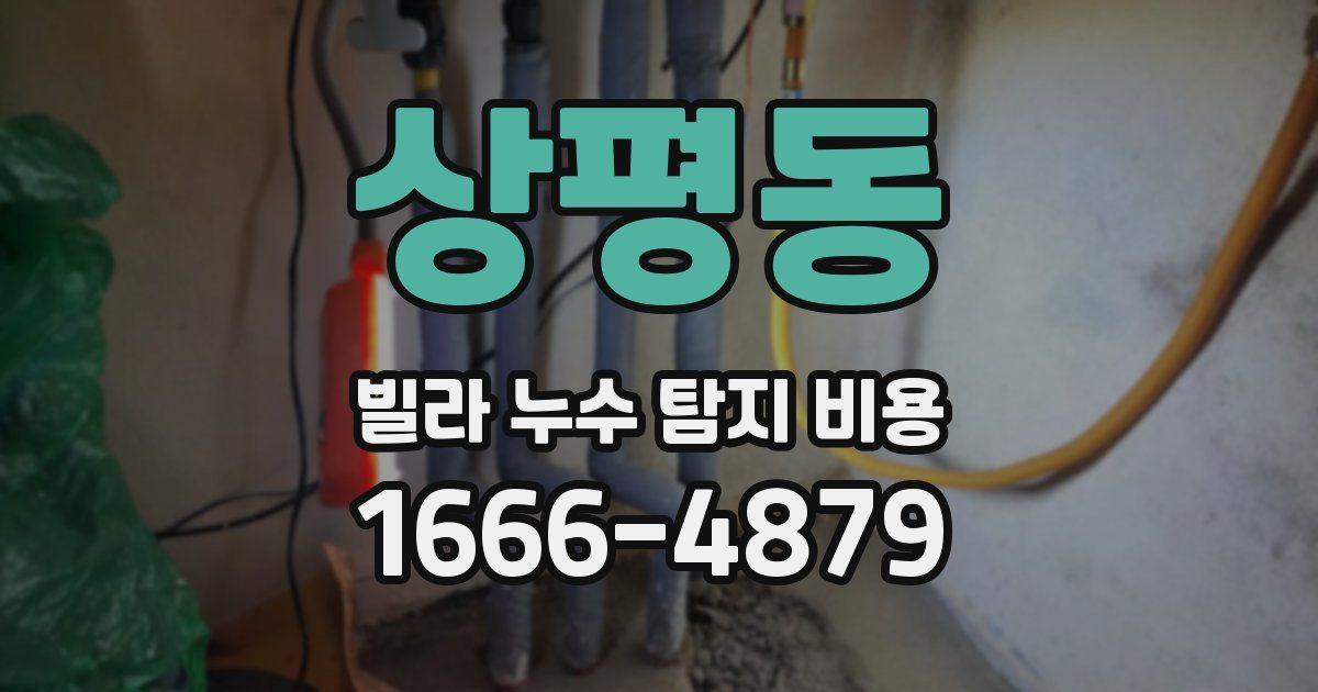상평동 빌라 누수 탐지 비용