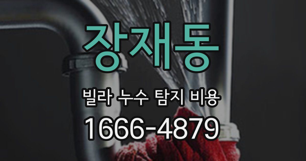 장재동 빌라 누수 탐지 비용