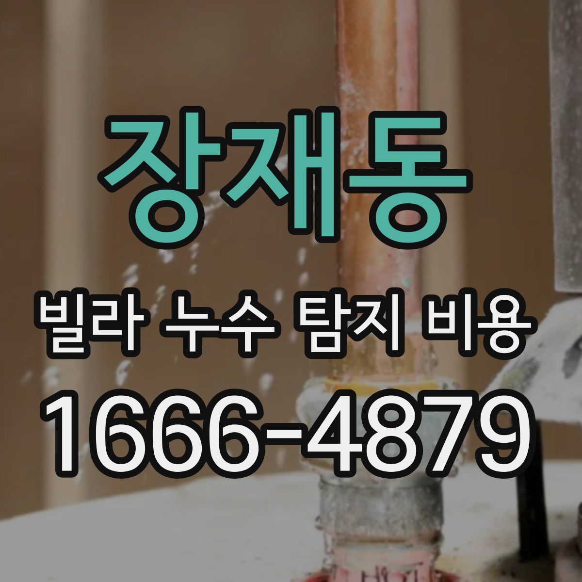 장재동 빌라 누수 탐지 비용
