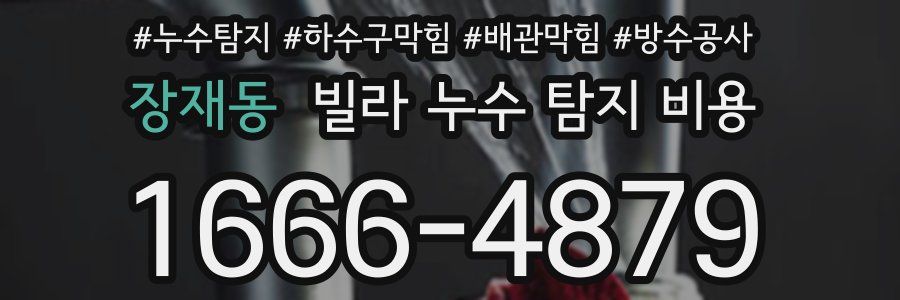 장재동 빌라 누수 탐지 비용