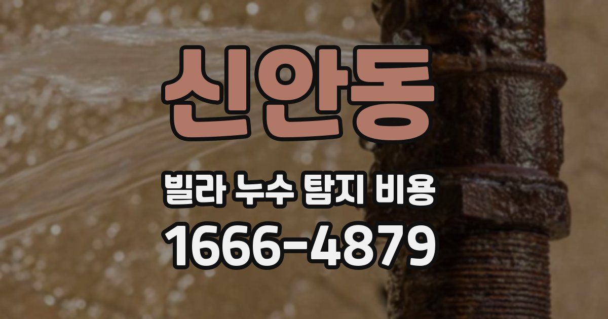 신안동 빌라 누수 탐지 비용