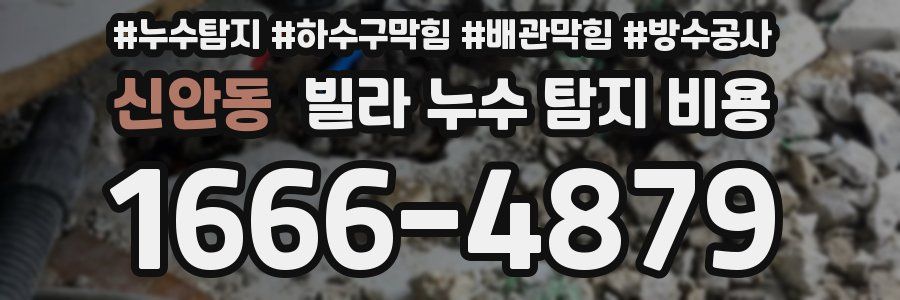 신안동 빌라 누수 탐지 비용