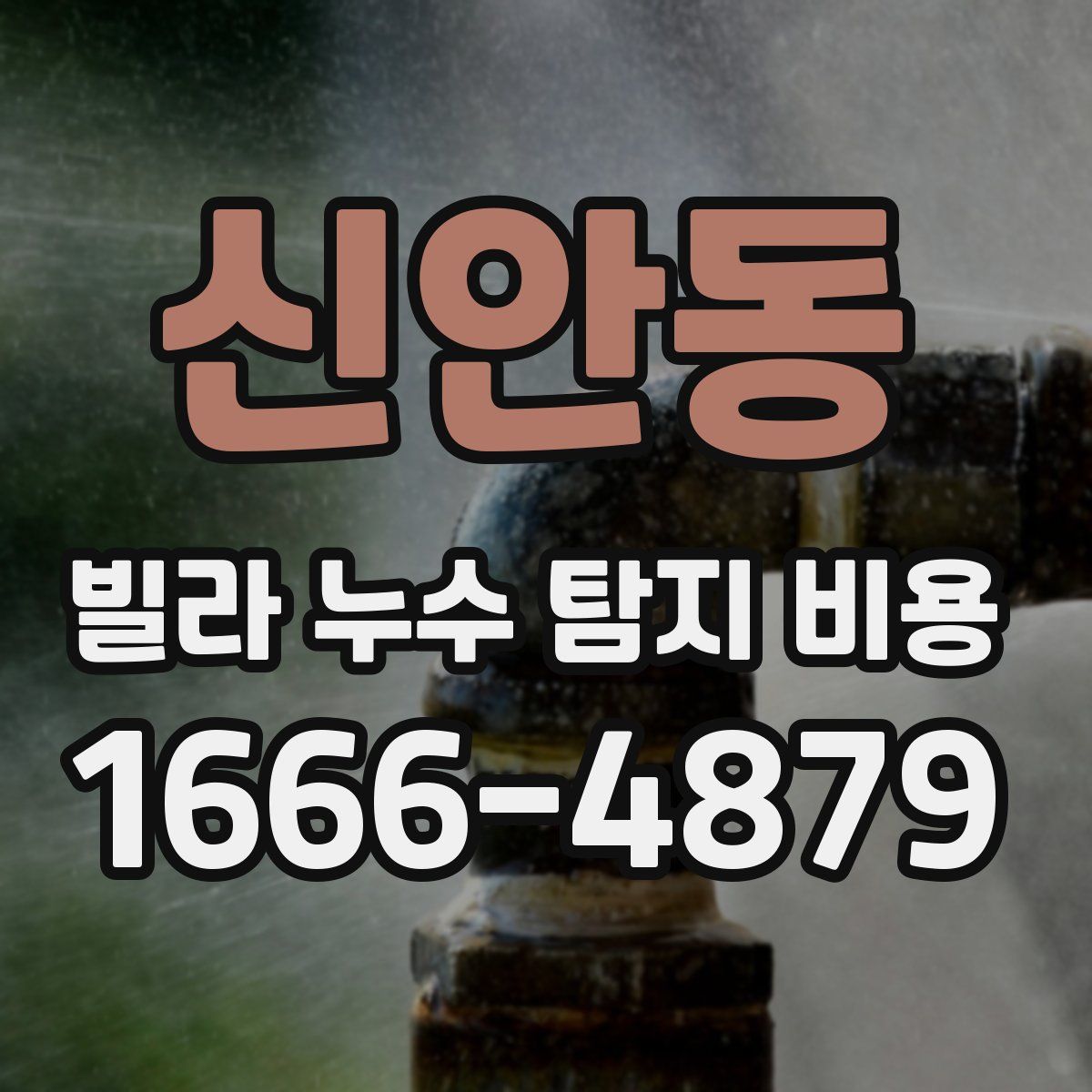 신안동 빌라 누수 탐지 비용