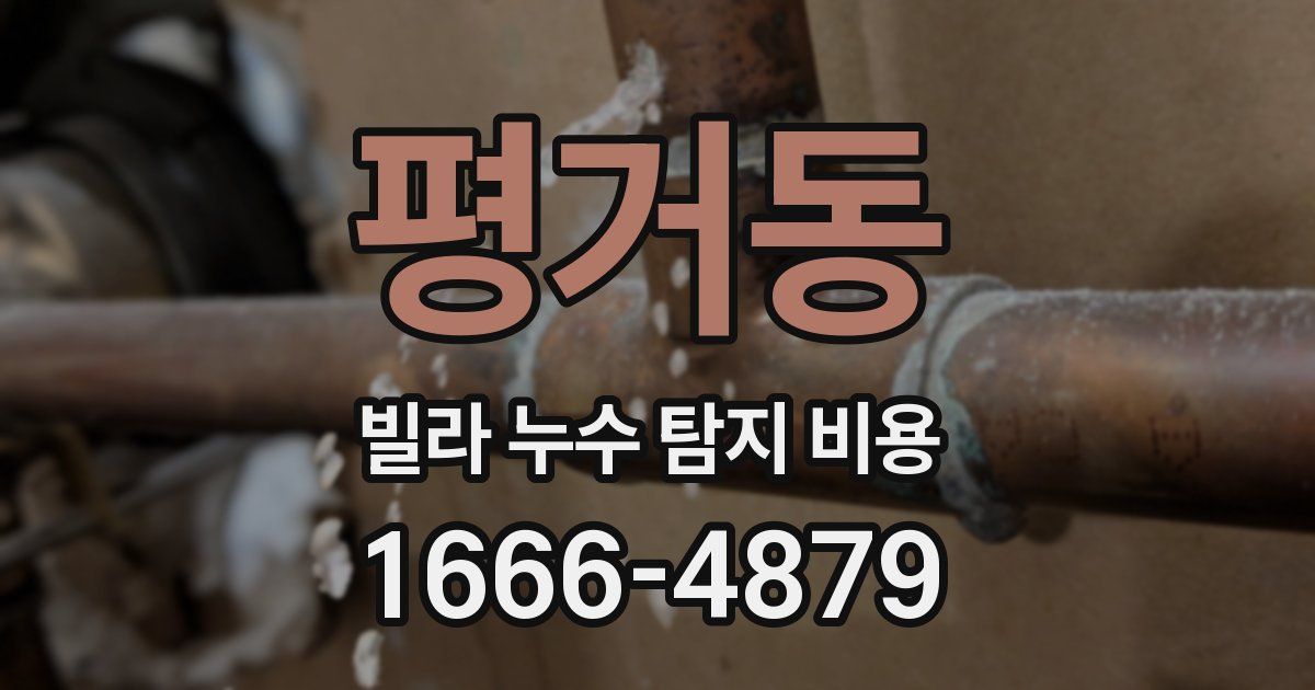 평거동 빌라 누수 탐지 비용