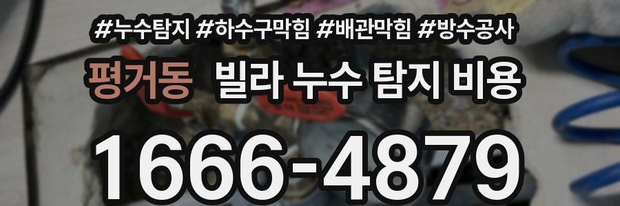 평거동 빌라 누수 탐지 비용