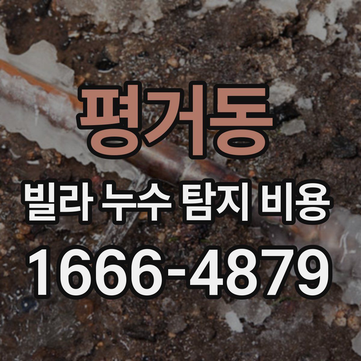 평거동 빌라 누수 탐지 비용