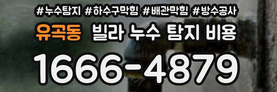 유곡동 빌라 누수 탐지 비용
