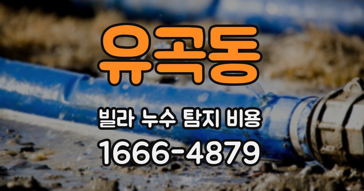 유곡동 빌라 누수 탐지 비용