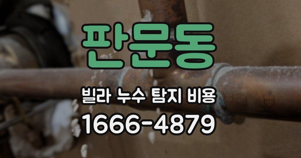 판문동 빌라 누수 탐지 비용