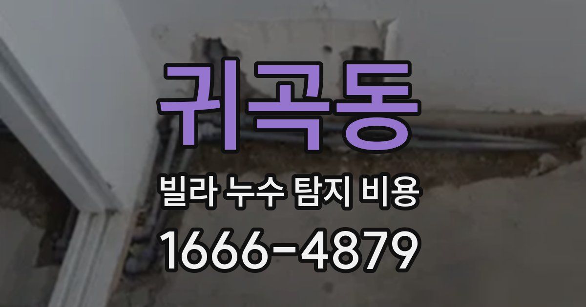 귀곡동 빌라 누수 탐지 비용