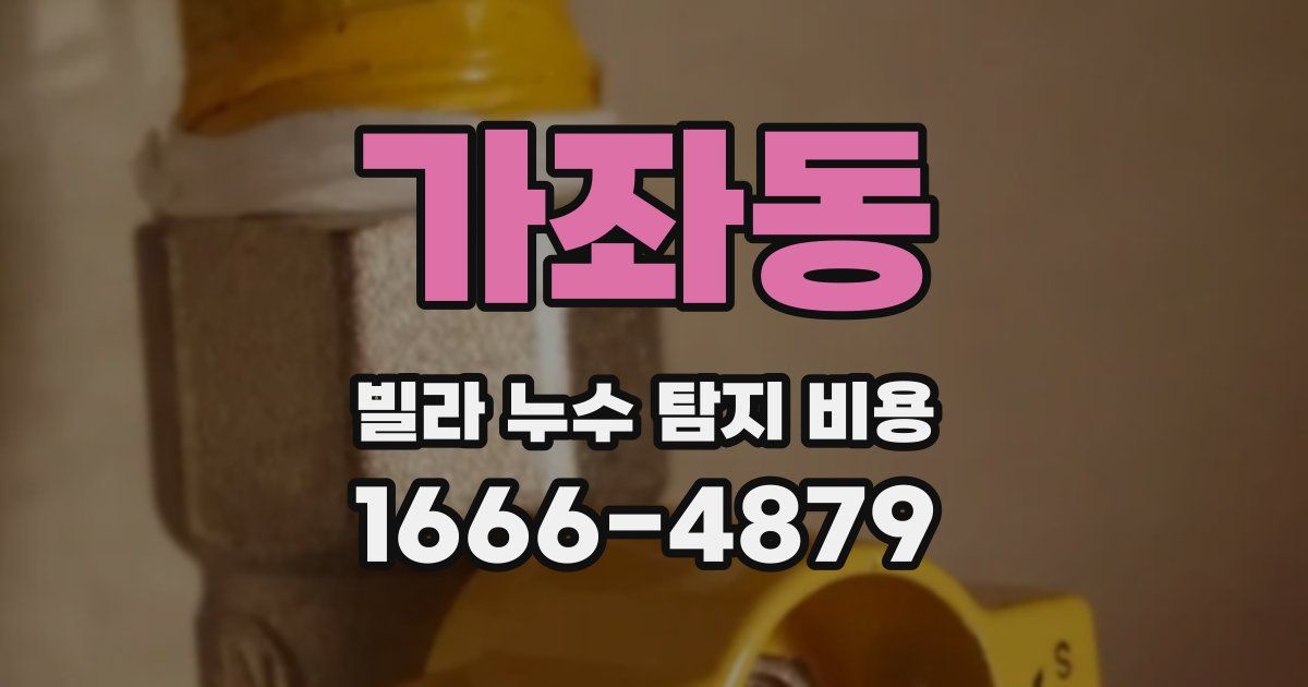 가좌동 빌라 누수 탐지 비용