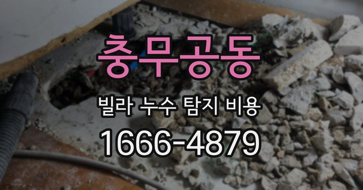 충무공동 빌라 누수 탐지 비용