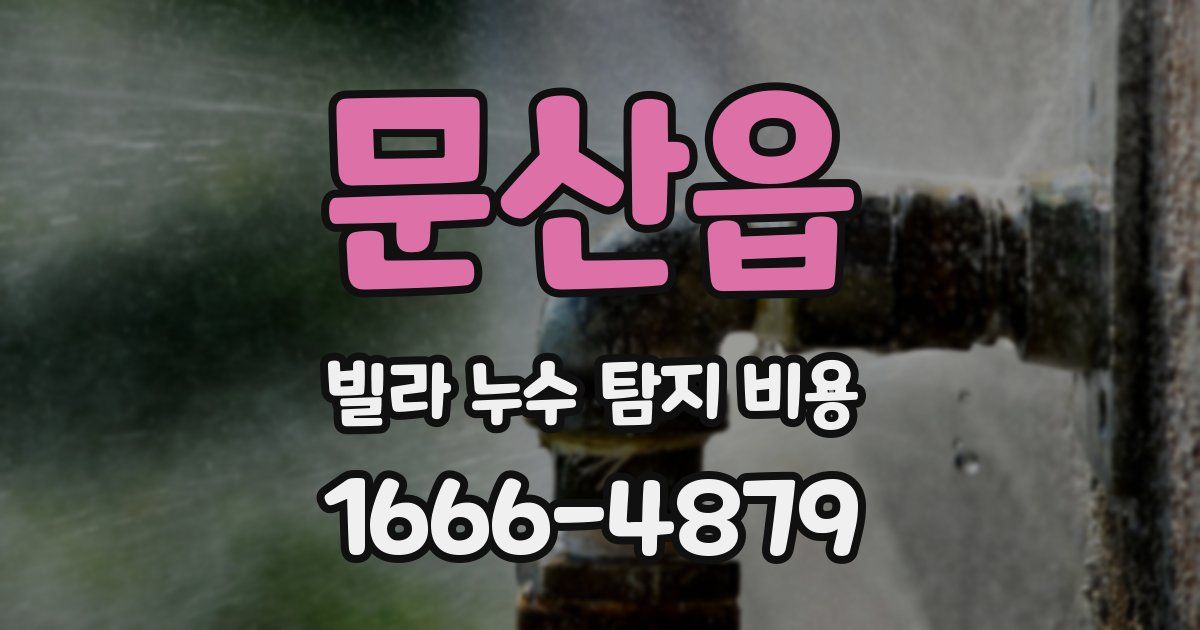 문산읍 빌라 누수 탐지 비용