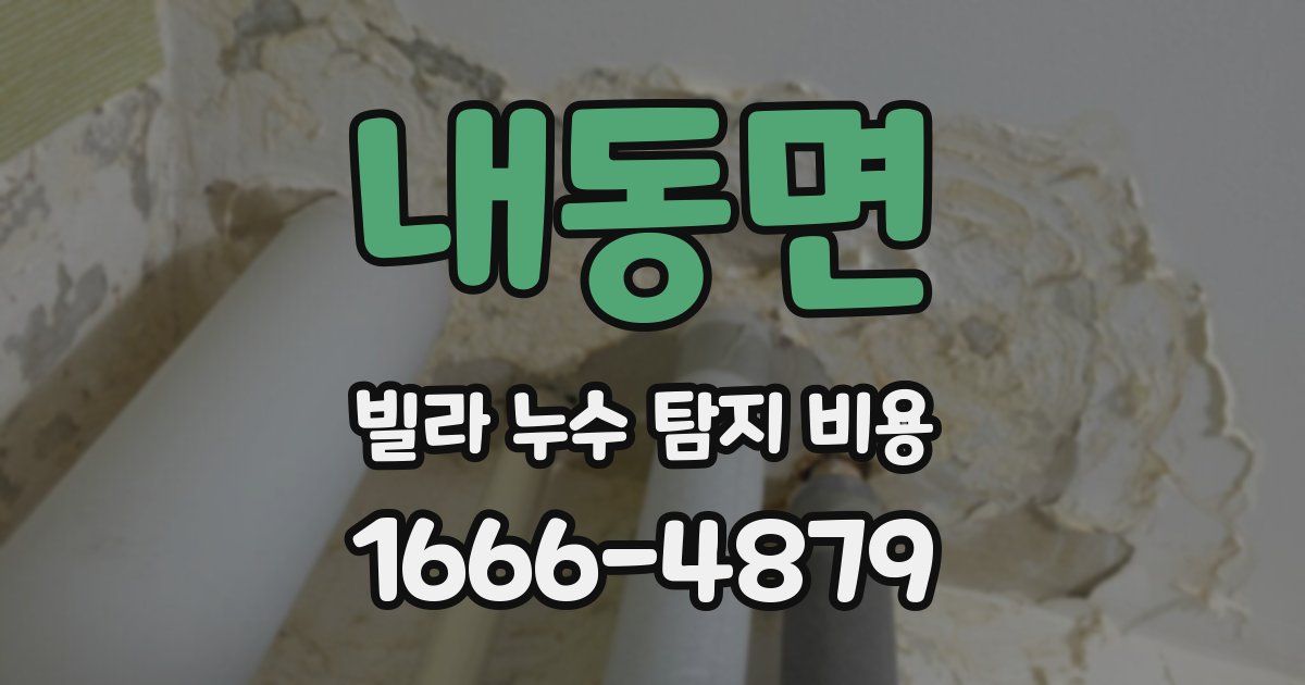 내동면 빌라 누수 탐지 비용
