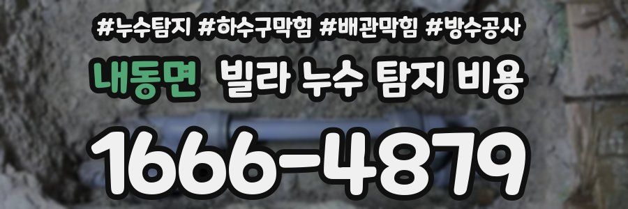 내동면 빌라 누수 탐지 비용