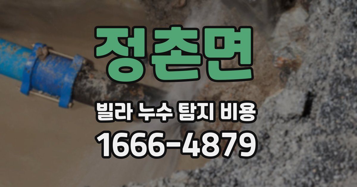 정촌면 빌라 누수 탐지 비용