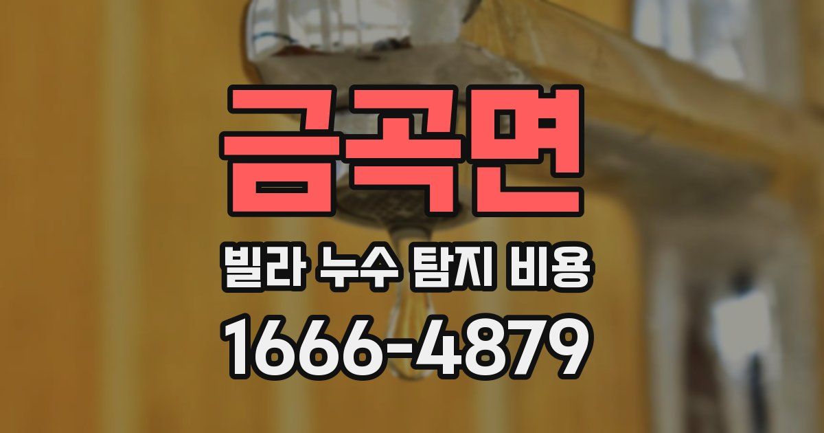 금곡면 빌라 누수 탐지 비용