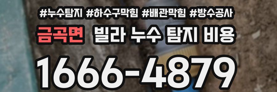 금곡면 빌라 누수 탐지 비용