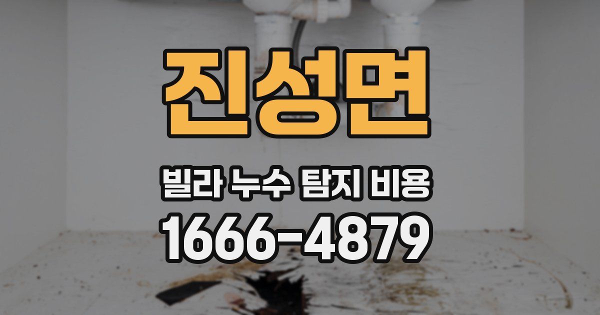 진성면 빌라 누수 탐지 비용