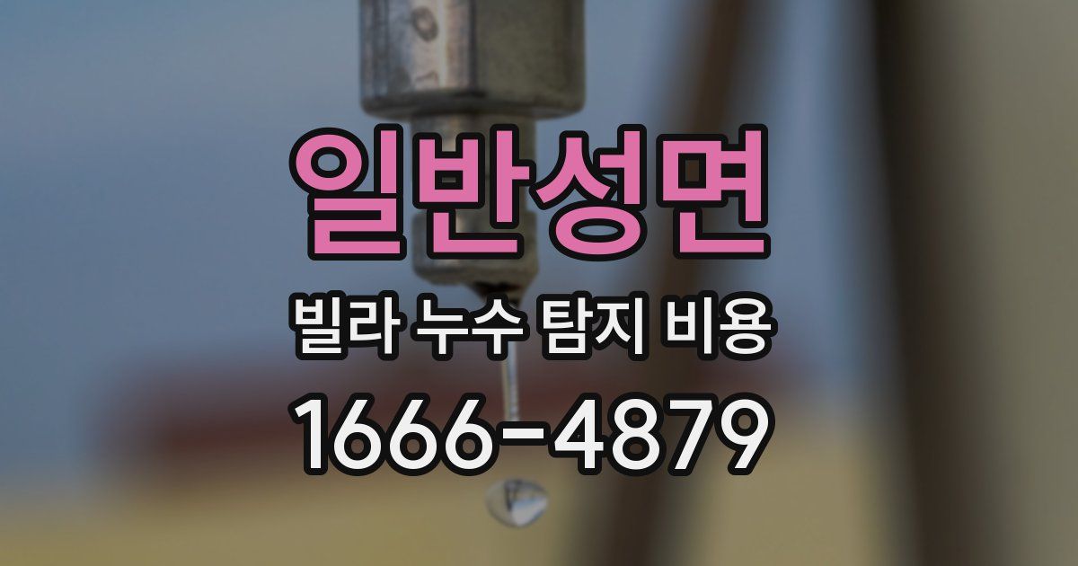 일반성면 빌라 누수 탐지 비용