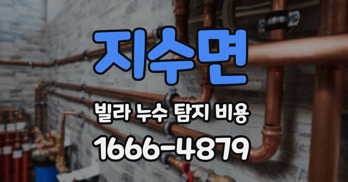 지수면 빌라 누수 탐지 비용