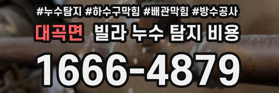 대곡면 빌라 누수 탐지 비용