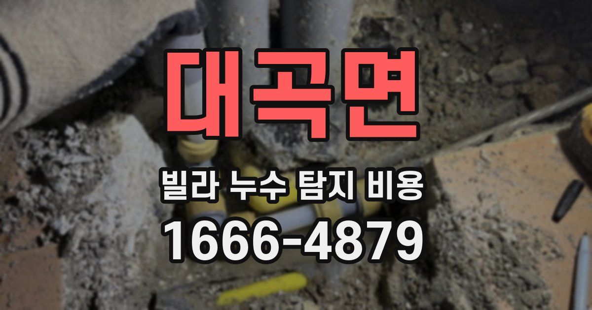 대곡면 빌라 누수 탐지 비용