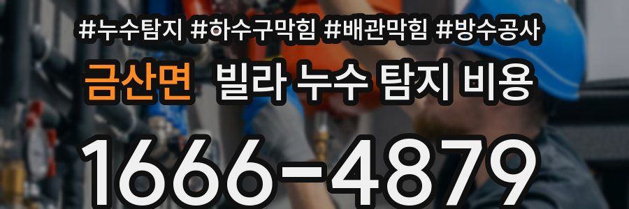 금산면 빌라 누수 탐지 비용